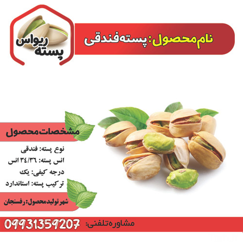 پسته فندقی 34/36 انس